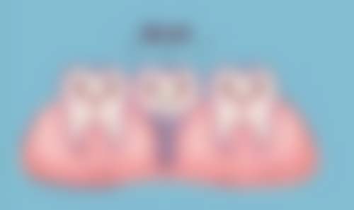 登腾种植牙牙冠材料与价格的关系