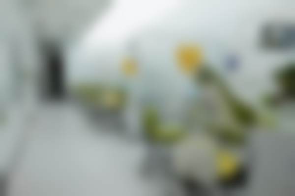 北京禾禾口腔门诊部牙齿正畸体验咋样？王犇医生助我告别凸牙自信露笑！ 