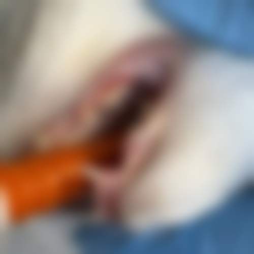 金华康固口腔门诊部医院技术好不好？