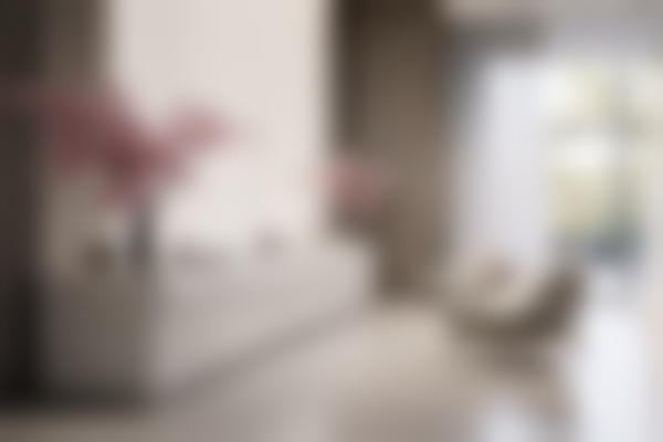 广东东莞爱雅健口腔连锁