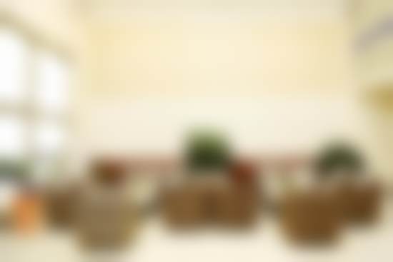 长春传阳口腔学生窝沟封闭项目的技术有哪些优势？