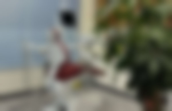 汕头臻正佳壹口腔门诊部医生简介