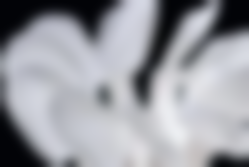 喀什何可亮口腔诊所收费标准参考