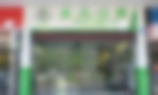 深圳正夫口腔门诊部（书城店）医院技术好不好？